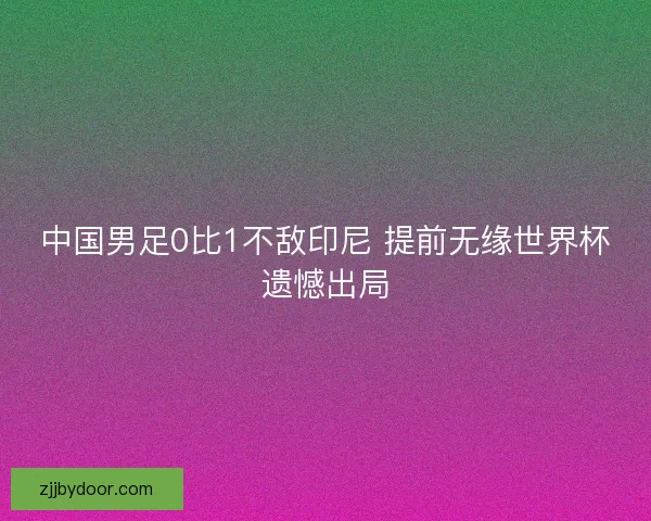 中国男足0比1不敌印尼 提前无缘世界杯遗憾出局